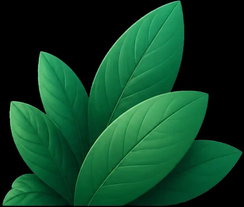 Decorative shrub