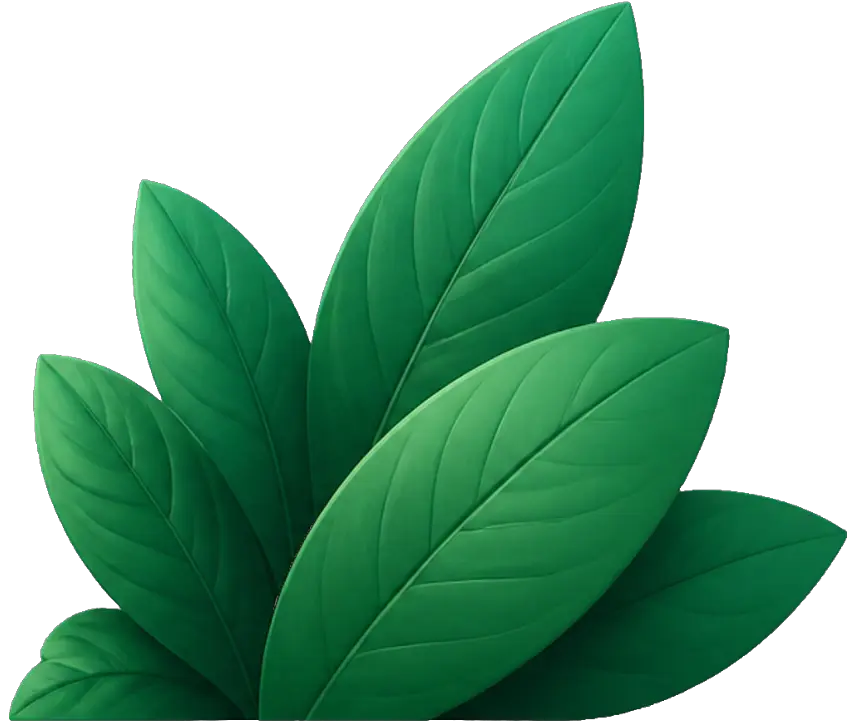 Decorative shrub