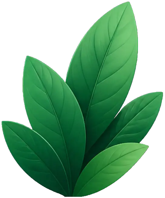 Decorative shrub